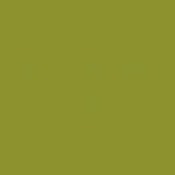Mission Models MMP-085 Russian WWII Protective Green 4B0 FS Acrylic Paint 1 oz (30ml)